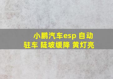 小鹏汽车esp 自动驻车 陡坡缓降 黄灯亮